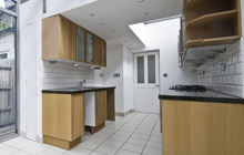 Dundrum kitchen extension leads